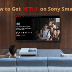 Netflix on Sony Smart TV