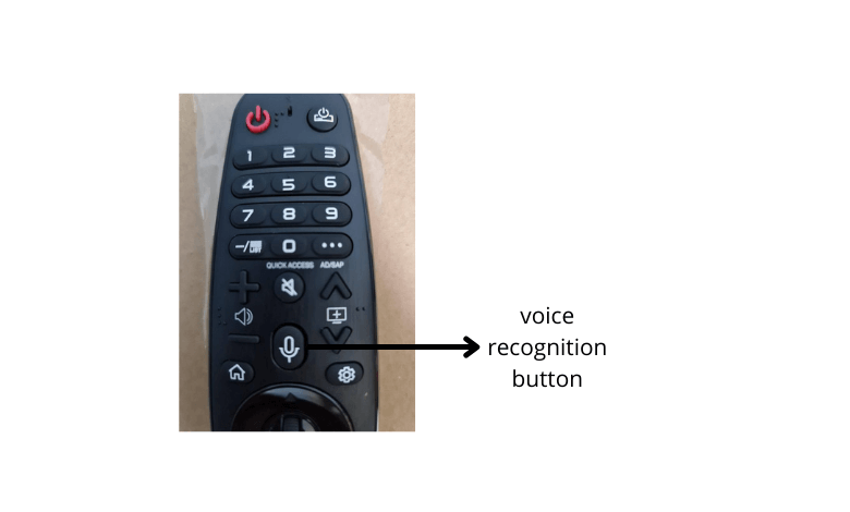 Click on Voice recognition button