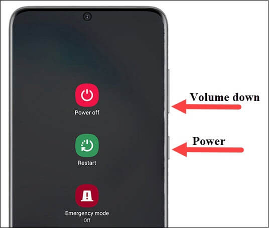 Press and hold Power and Volume Down button