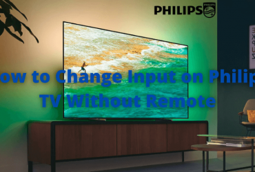 Changing input on Philips TV without using remote