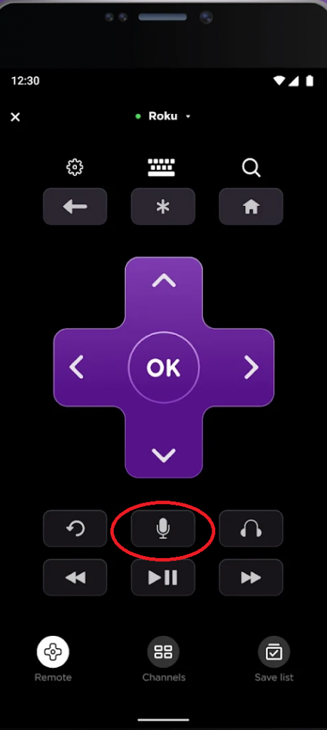 MIC icon to enable voice assistant