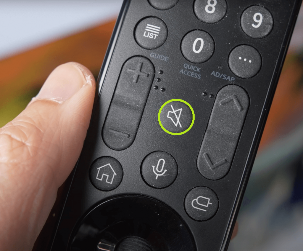 Mute Button on LG TV Remote. 