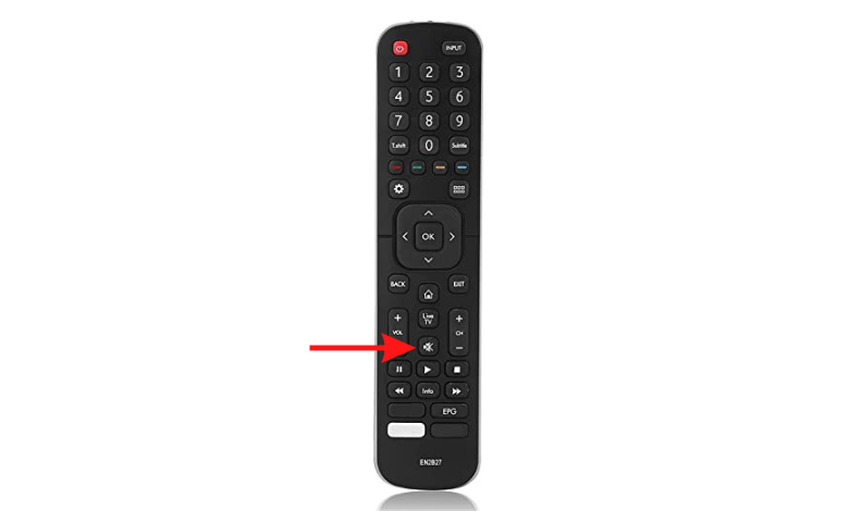 Press the Mute button to fix Hisense TV Sound Not Working issue