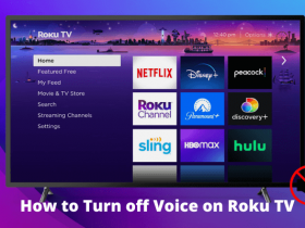 How to Turn off Voice on Roku TV