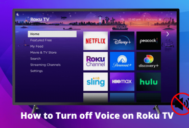 How to Turn off Voice on Roku TV