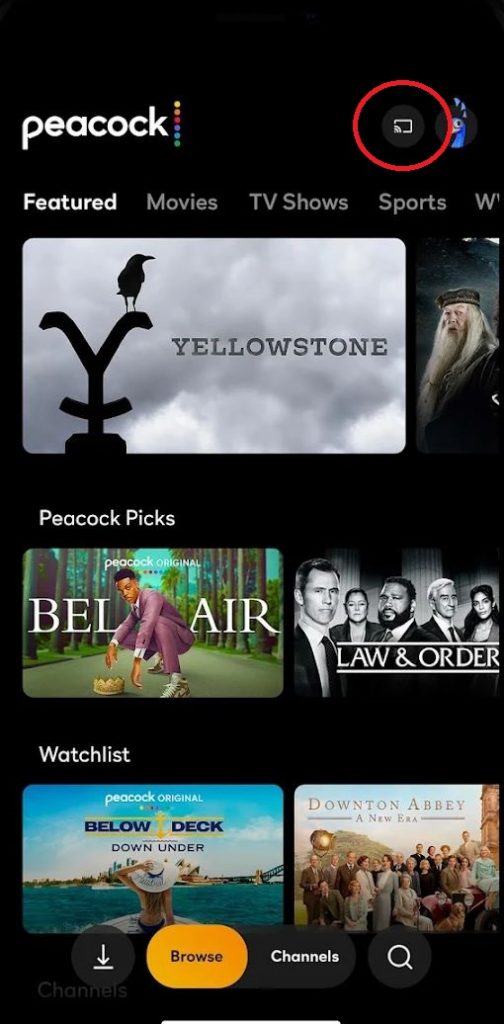 Cast Peacock TV